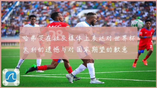 哈弗茨在社交媒体上表达对世界杯失利的遗憾与对国家期望的歉意