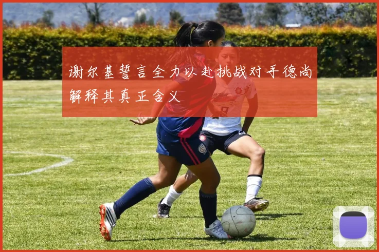 谢尔基誓言全力以赴挑战对手德尚解释其真正含义