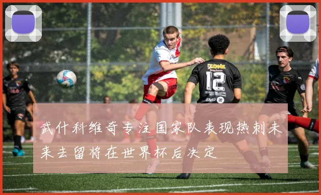 武什科维奇专注国家队表现热刺未来去留将在世界杯后决定